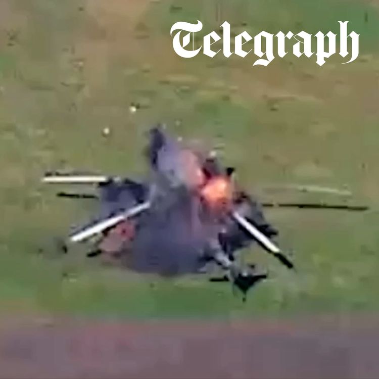 cover art for Ukraine ‘vaporises’ Russian helicopters mid-flight behind enemy lines & Putin proposes ‘brief’ ceasefire in Trump call