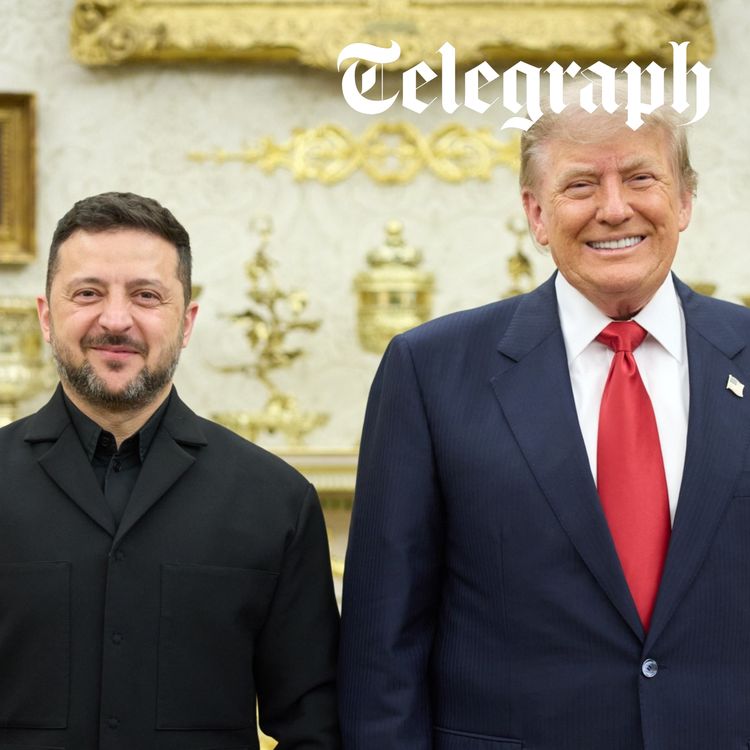cover art for Crimea 'without power' after deadly raids as Zelensky meets Trump