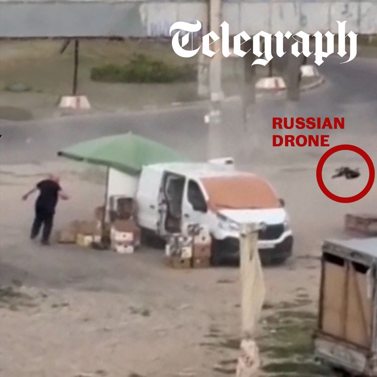 cover art for Russia’s ‘barbaric’ drone safari caught on film as another Wildberries warehouse burns