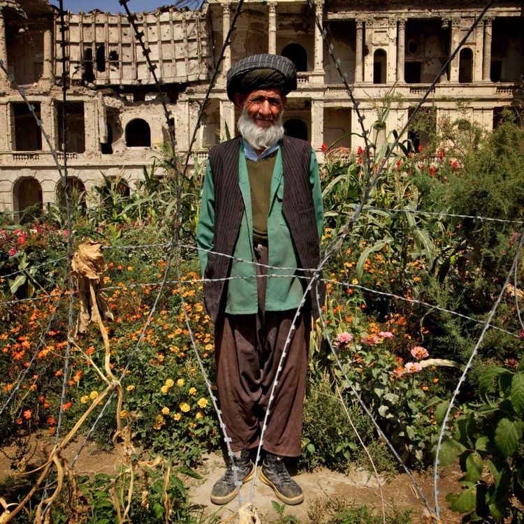 cover art for Gardening in war