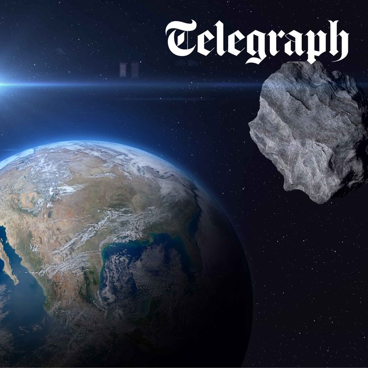 cover art for Bird-flu, nukes and asteroids: what 2026 might have in store