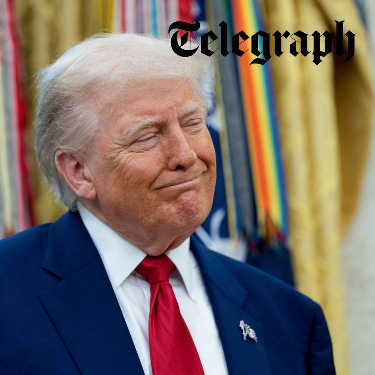 cover art for 'Trump is damaging Nato': ex-commander speaks out on Greenland threats