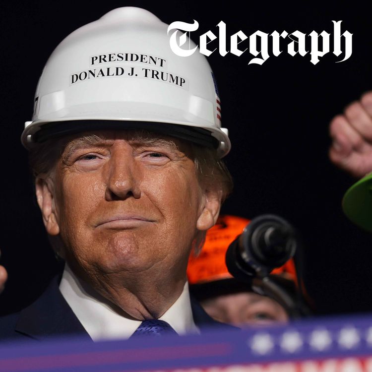 cover art for Project Vault: Trump's battle to break China’s critical mineral stranglehold