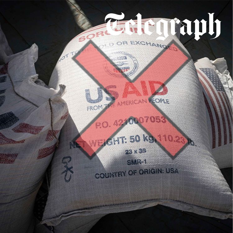 cover art for Trump’s USAID legacy: 9 million deaths and a global power vacuum