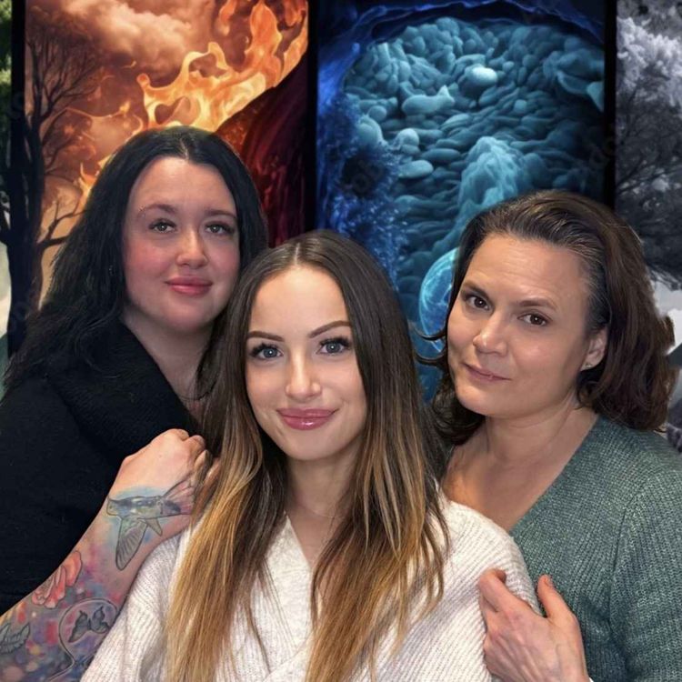 cover art for De fem elementen