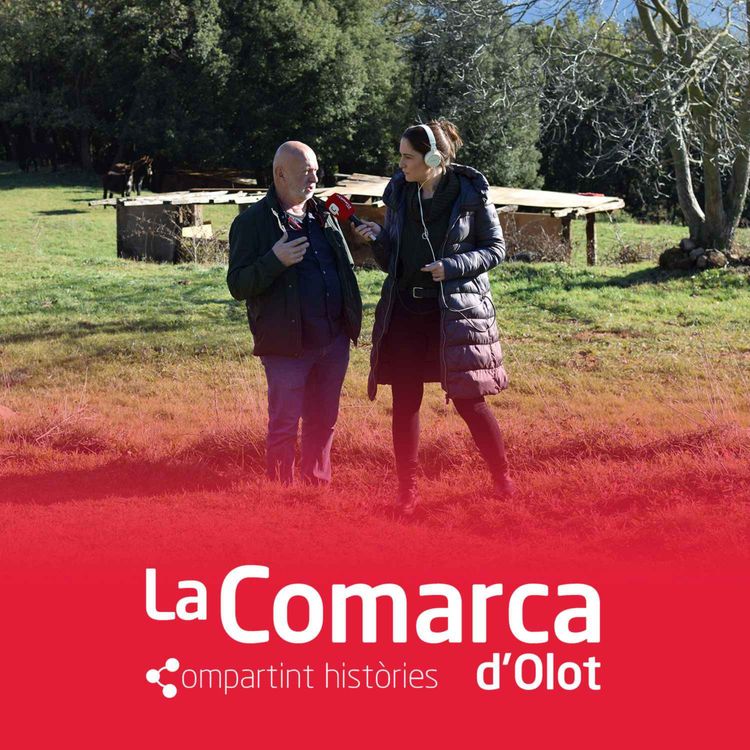 cover art for Passejant pel pessebre vivent de Joanetes