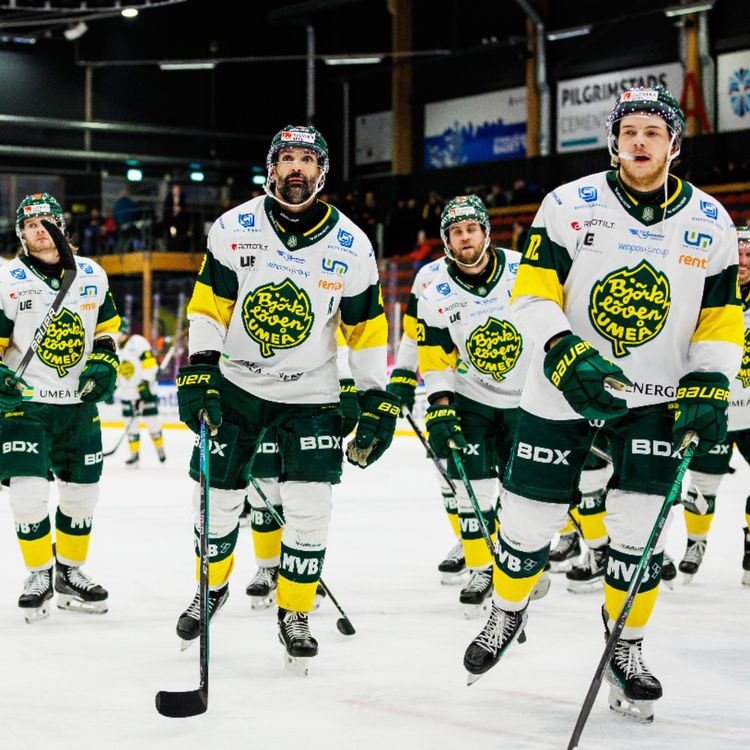 cover art for Felmatchade backar i Björklöven