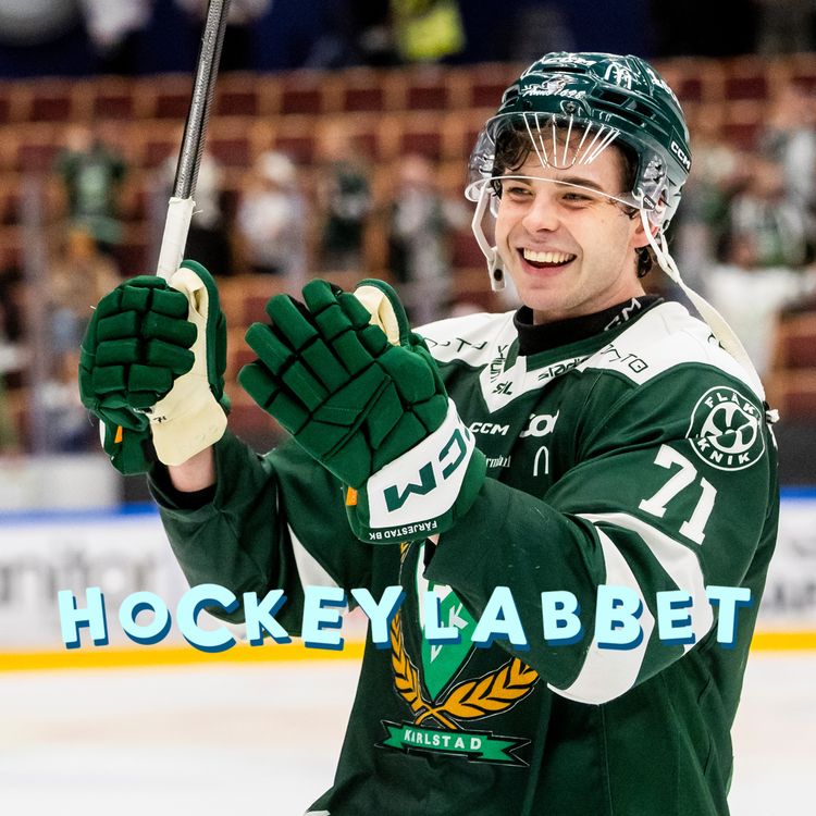 cover art for Hockeylabbet HC