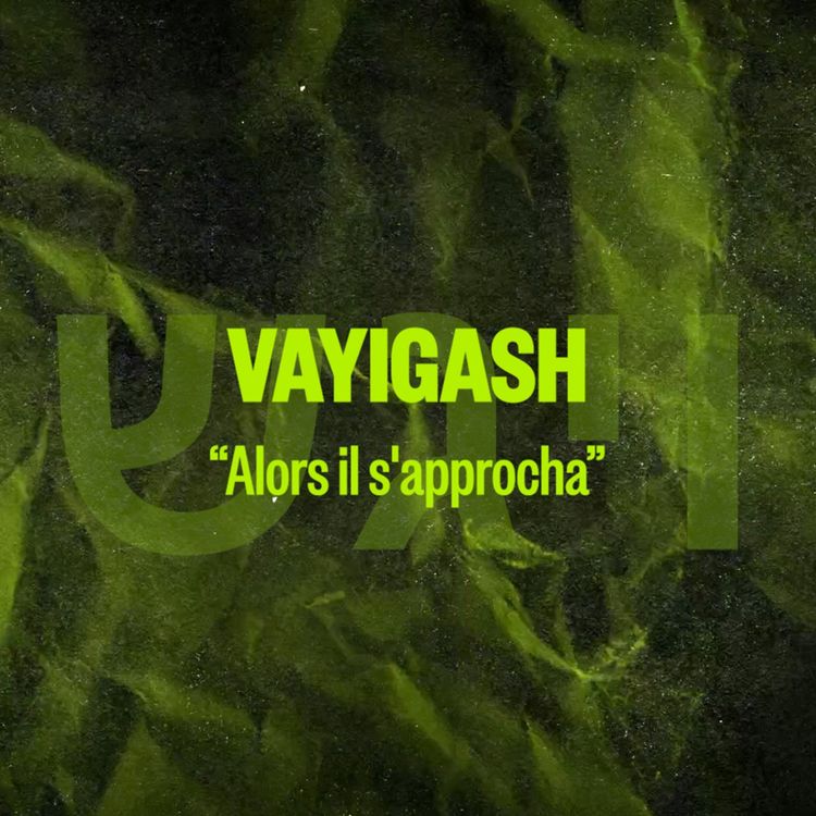 cover art for VAYIGASH