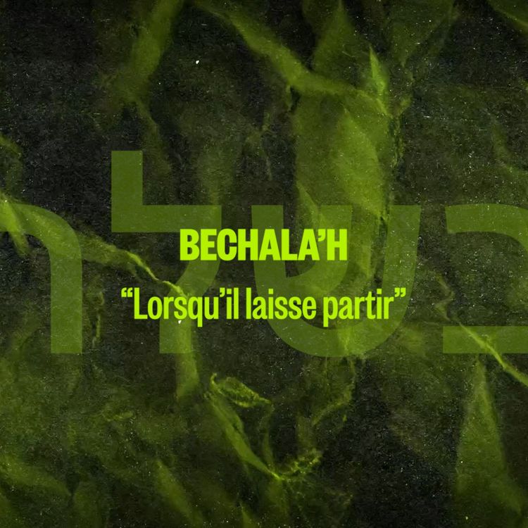 cover art for BECHALA'H