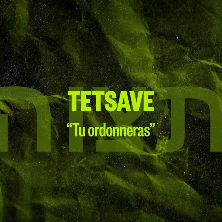 cover art for TETSAVE