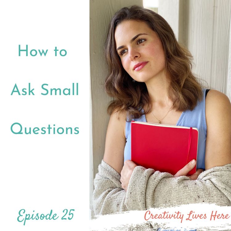 cover art for How To Ask Small Questions