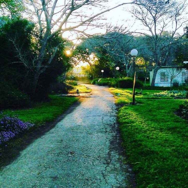 cover art for גן הילדים בנחל עוז