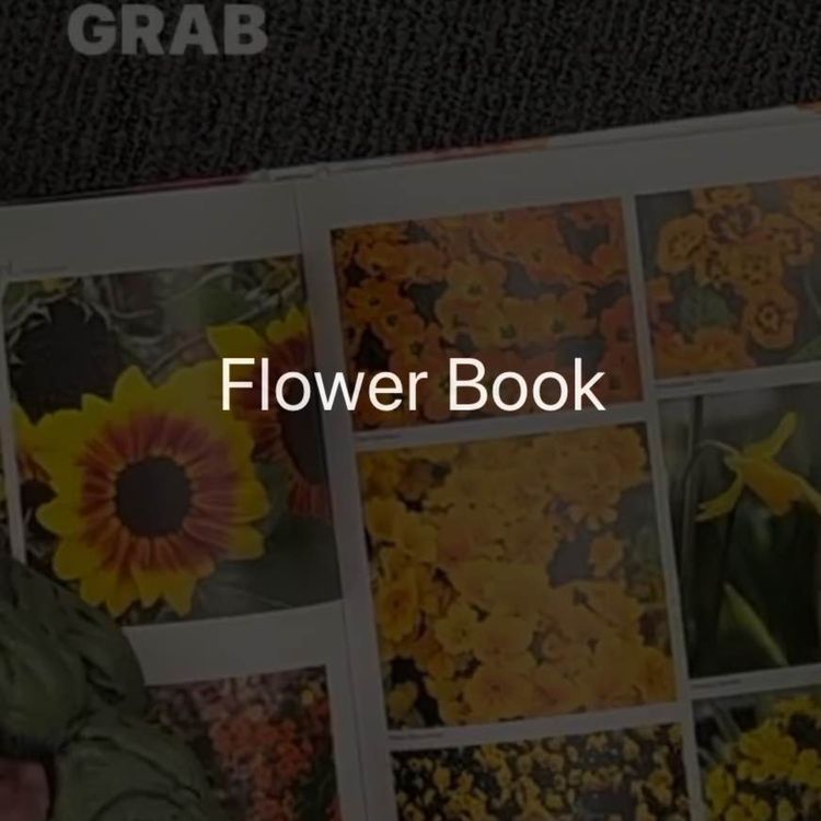 cover art for Flowers