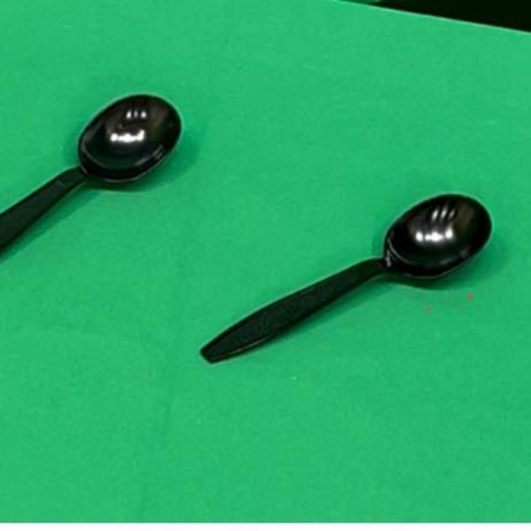 cover art for Black Spoons