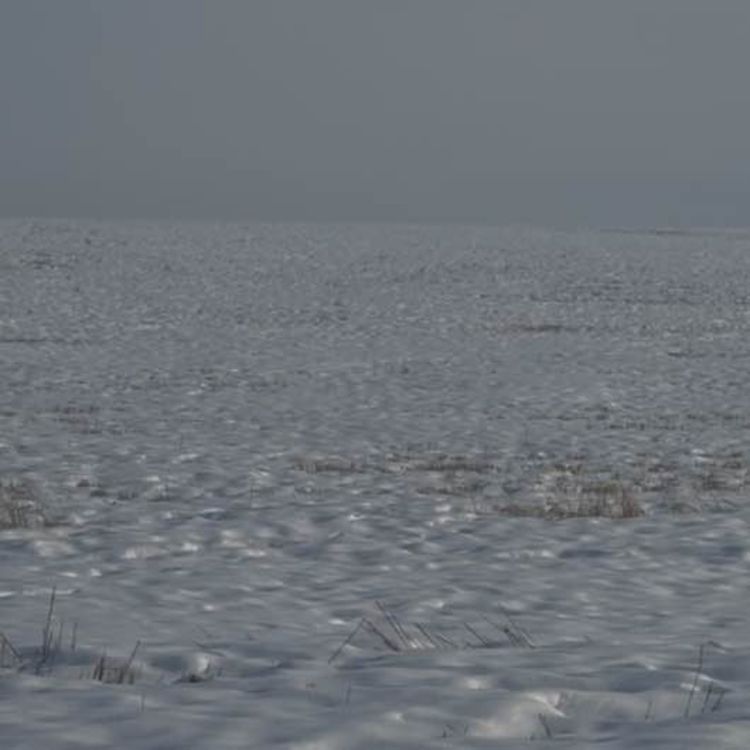 cover art for Writing a Western, OK?