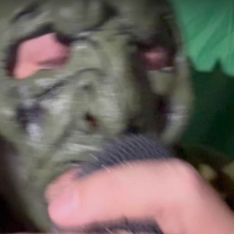 cover art for Cuckoo clock