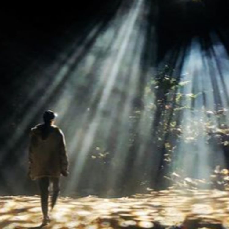cover art for باید در نور و روشنی باشد