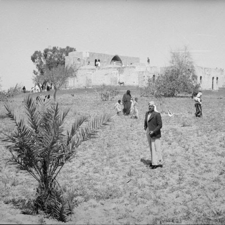 cover art for Ceasefire Now Podcast Episode 4