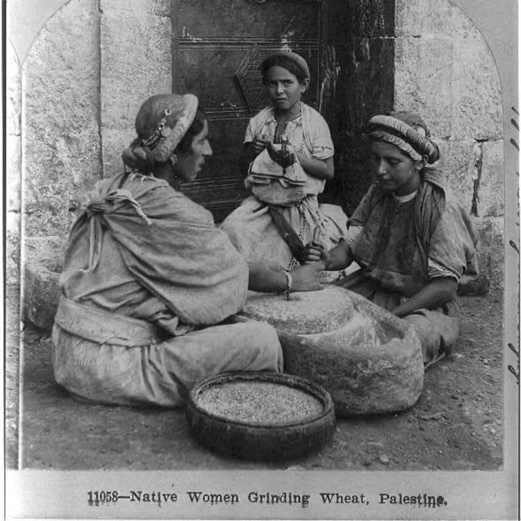 cover art for Ceasefire Now Podcast Episode 7