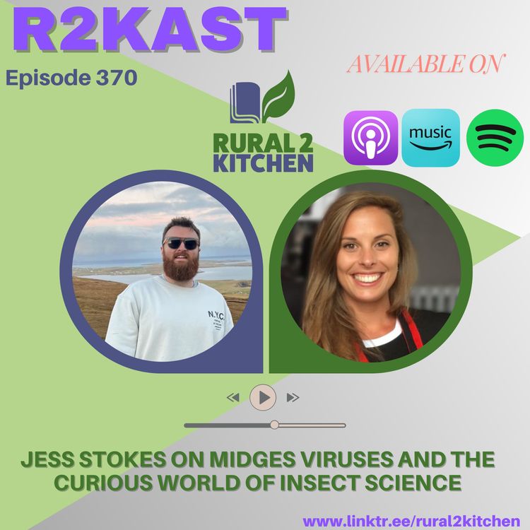 cover art for R2Kast 370 - Jess Stokes on midges viruses and the curious world of insect science