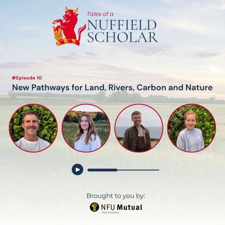 cover art for Tales of a Nuffield Scholar with Ali Warren-Walker, Laura Underdown, Stu Oates and Ben Andrews