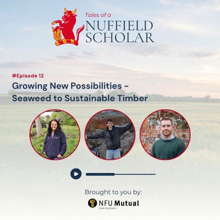 cover art for Tales of a Nuffield Scholar with Molly Gupta, Peter Rowe and Tom McVeigh