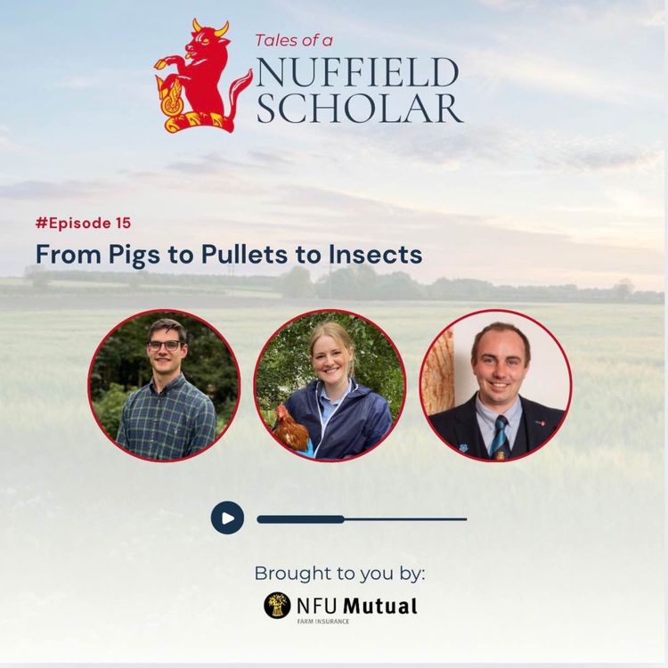 cover art for Tales of a Nuffield Scholar with Charlotte Cole, Gregor Bruce and Ben Lowe
