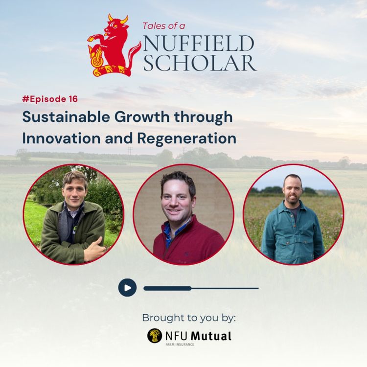 cover art for Tales of a Nuffield Scholar with Dave Oates, Edward Fane Trefusis and Sam Steggles