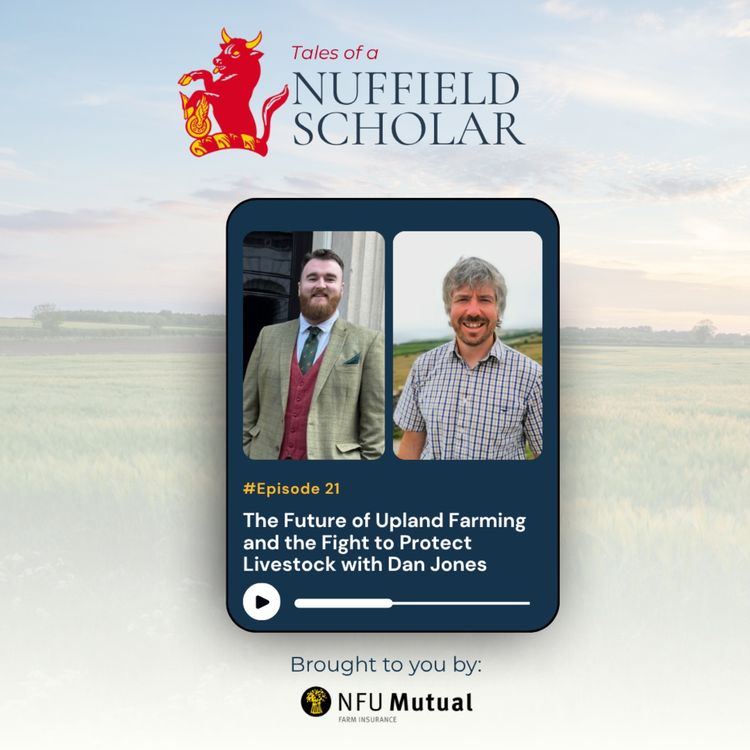cover art for Tales of a Nuffield Scholar - Dan Jones on Livestock Attacks