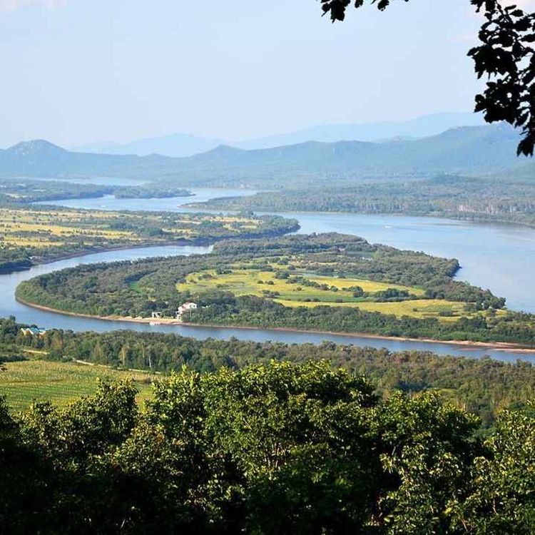 cover art for 46  是否“将婴儿扼杀在摇篮里”——关于1969年苏联对中国实施“核手术”问题