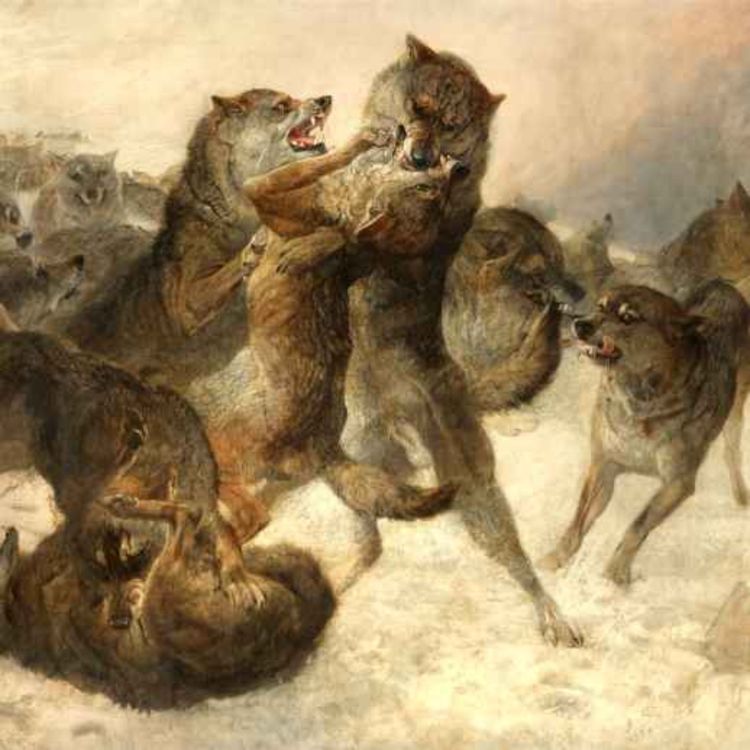 cover art for 52  达尔文、社达与纳粹——与“生物漫游指南”串台（下集）