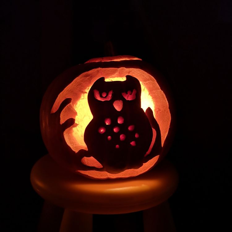 cover art for 37 从柏林危机到「对华国际」——与【忽左忽右】串台