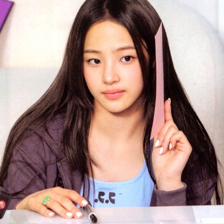 cover art for menagerie