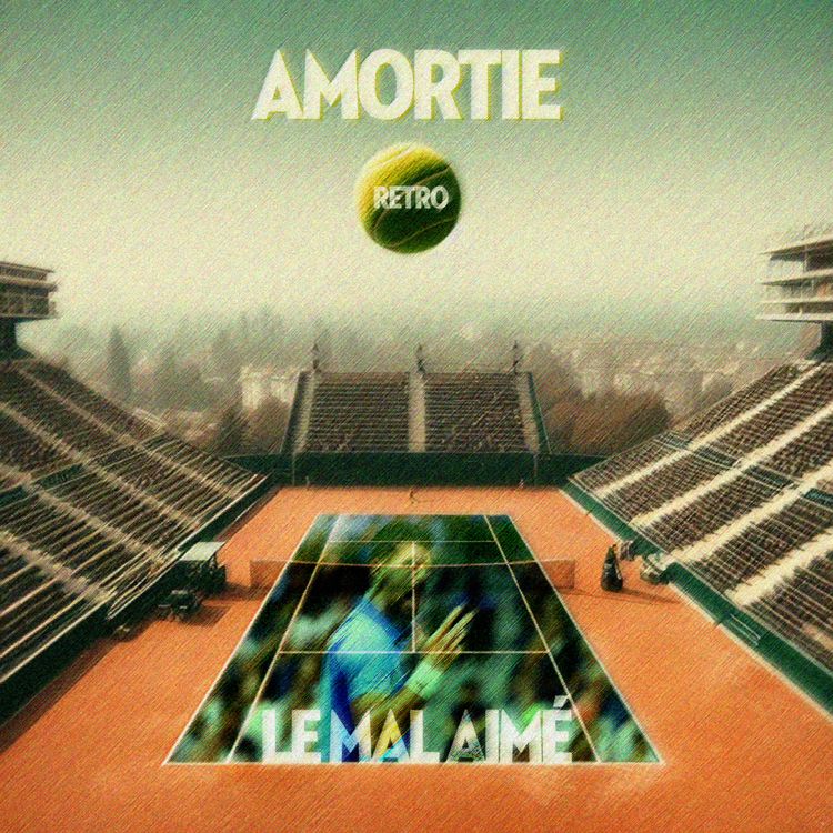 cover art for Djokovic : Le mal-aimé