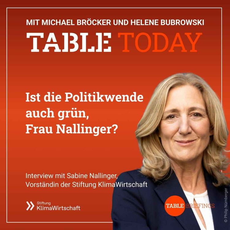 cover art for Ist die Politikwende auch grün, Frau Nallinger?