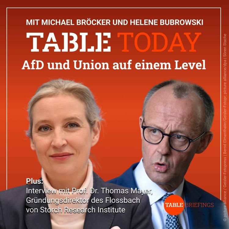 cover art for AfD und Union auf einem Level