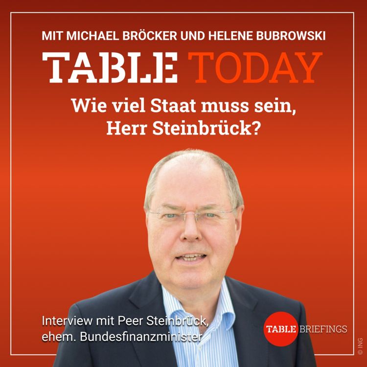cover art for Wie viel Staat muss sein, Herr Steinbrück?