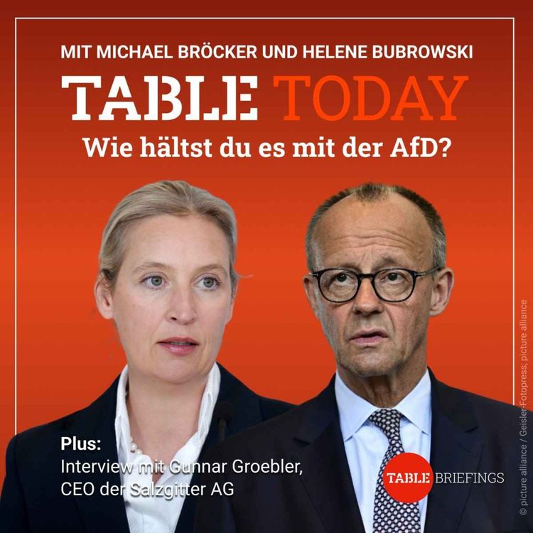 cover art for Wie hältst du es mit der AfD?