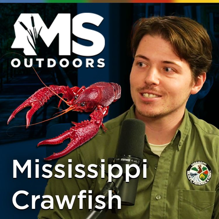 cover art for Crawfish in Mississippi with Calvin Rezac