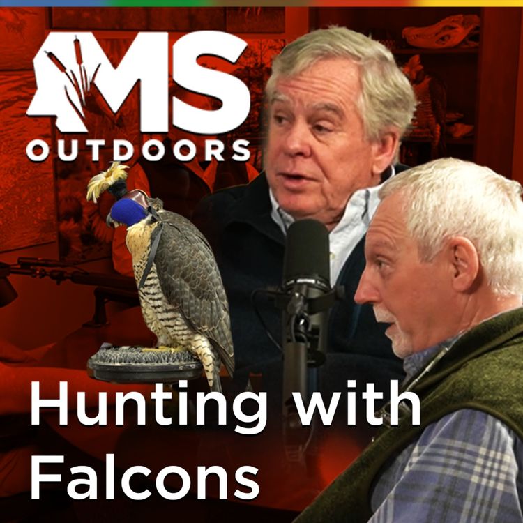 cover art for Hunting with Falcons with Dr. Harvey Leslie & Robert McGuire