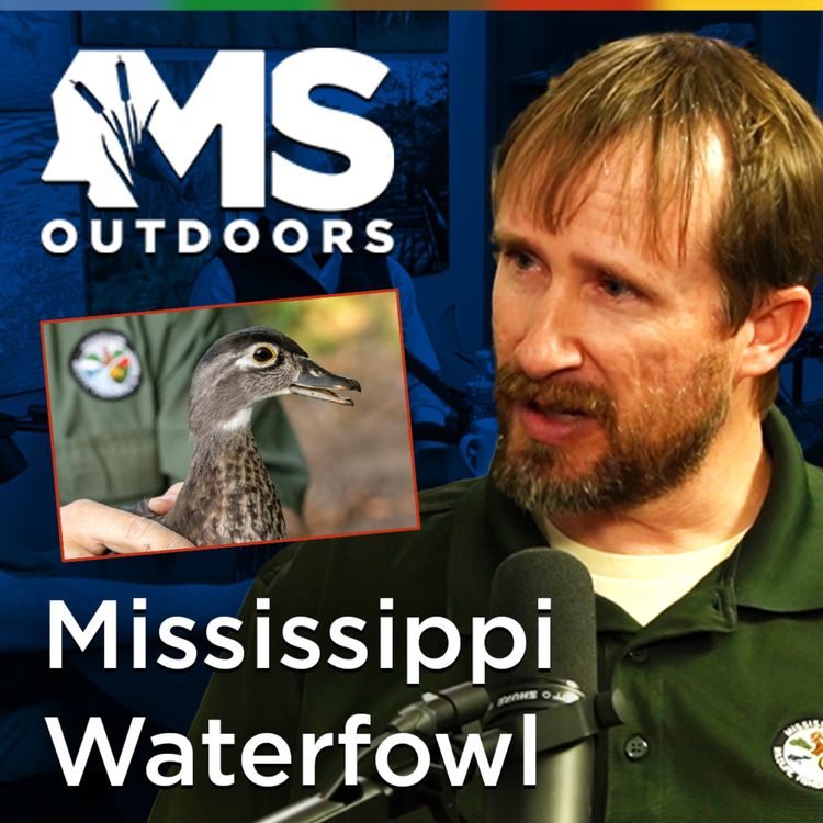 cover art for Waterfowl Migration with Houston Havens