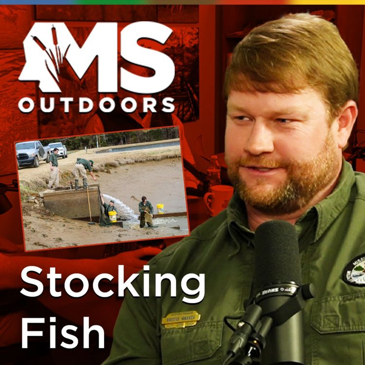 cover art for Stocking Fish with Brooks Warren