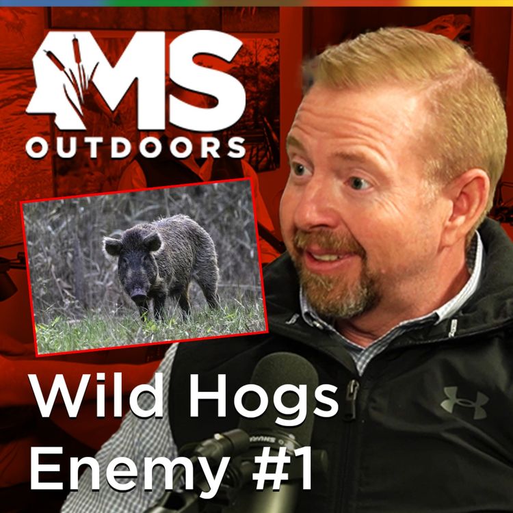 cover art for Fighting Mississippi’s Wild Hog Problem with Chris McDonald