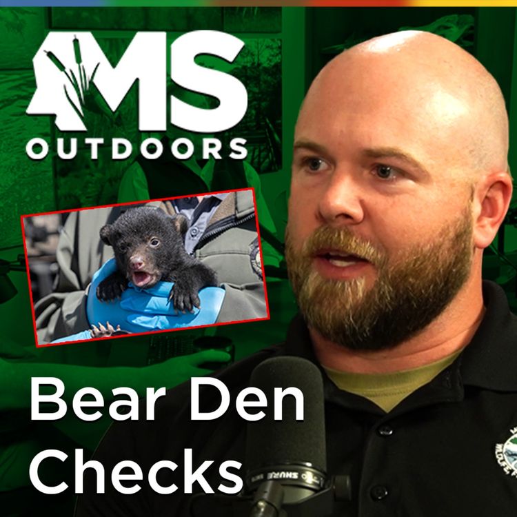 cover art for Bear Den Checks with Anthony Ballard