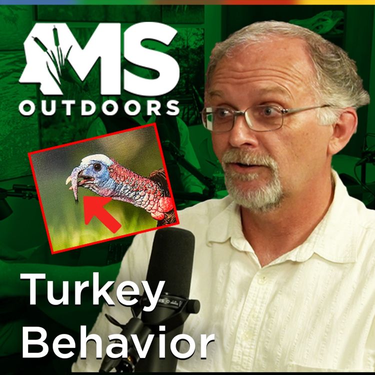 cover art for Turkey Behavior with Dr. Richard Buchholz