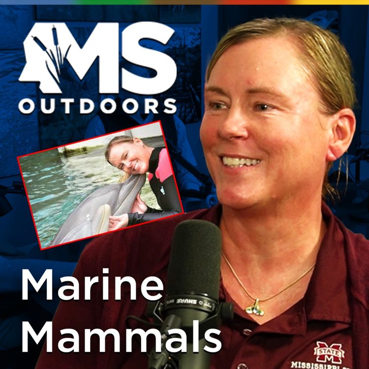 cover art for Mississippi’s Marine Mammals with Dr. Holley Muraco