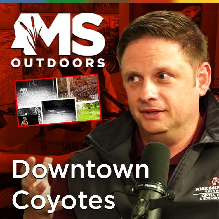 cover art for Urban Wildlife in Mississippi with Adam Rohnke