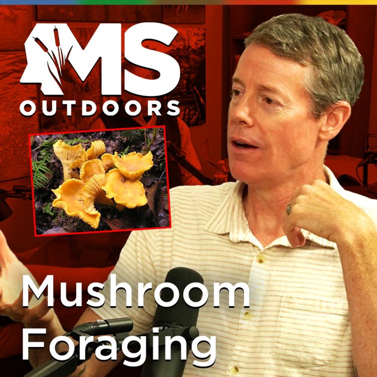 cover art for Native Mushrooms with Ole Miss Professor Dr. Jason Hoeksema