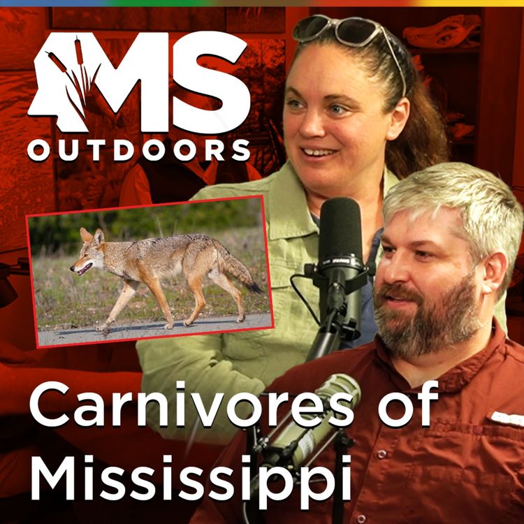 cover art for Carnivores in Mississippi: Habitat Challenges with Dana Morin & Jacob Dykes